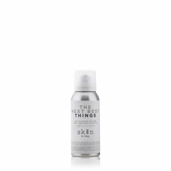 The Next Best Things SKIN BY DINGS
